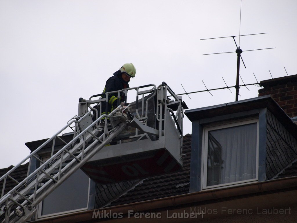 Reste vom Sturm beseitigen P3011701.JPG